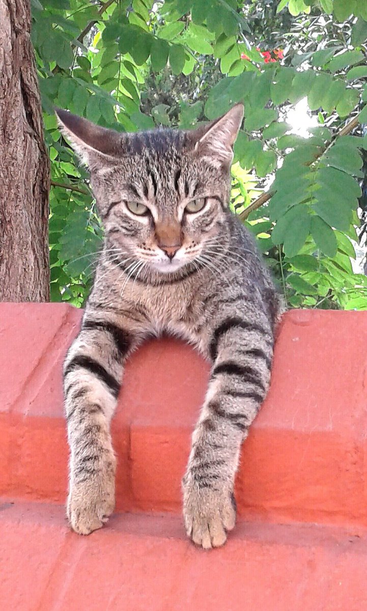RAGIPBATUR's tweet photo. https://t.co/WT9sn2qcNA