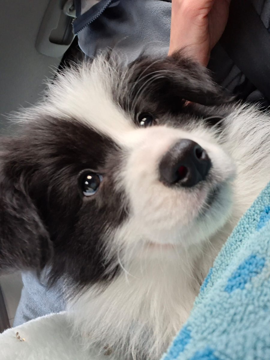 Henk.Verhoef tweet media