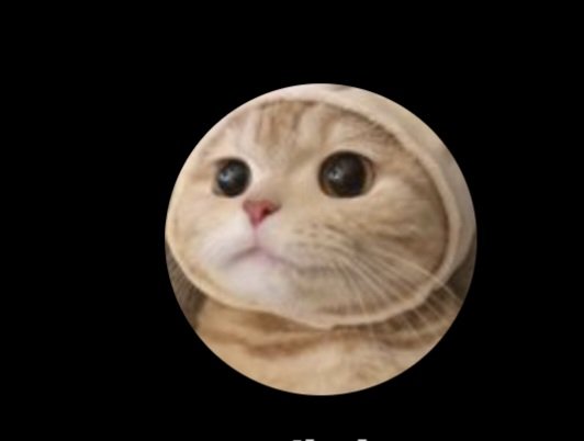 근데 인장얘기가 나와서 말인데 이 고양이는 뭐길래 이걸로 해 둔 서브들이 이렇게 많은거니??
내 디엠통에만 해도 이거랑 완전히 똑같은 인장 네다섯명 되던데