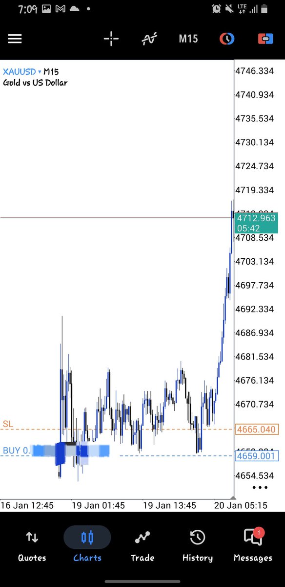 DW🦅🌹 tweet media