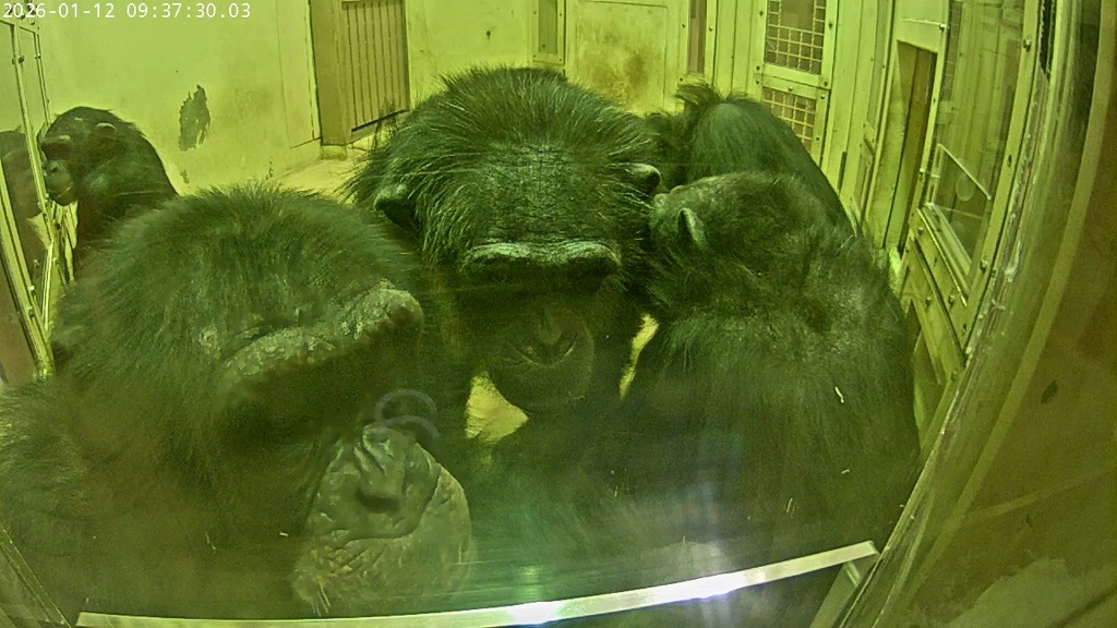 動画見ているとそれぞれの思いを想像してつい笑顔になってしまう