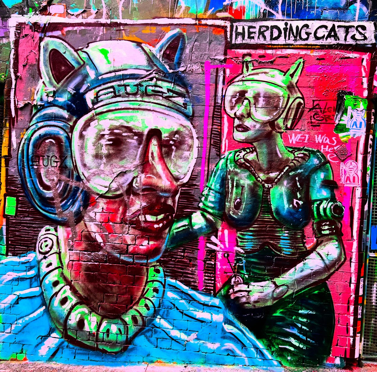 . I don’t know why this piece of #Melbourne #streetart is titled Herding Cats. But it is. 🐈