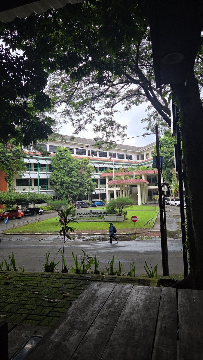 Malaikat Pencabut Uban (@yanuarjelek) on Twitter photo 