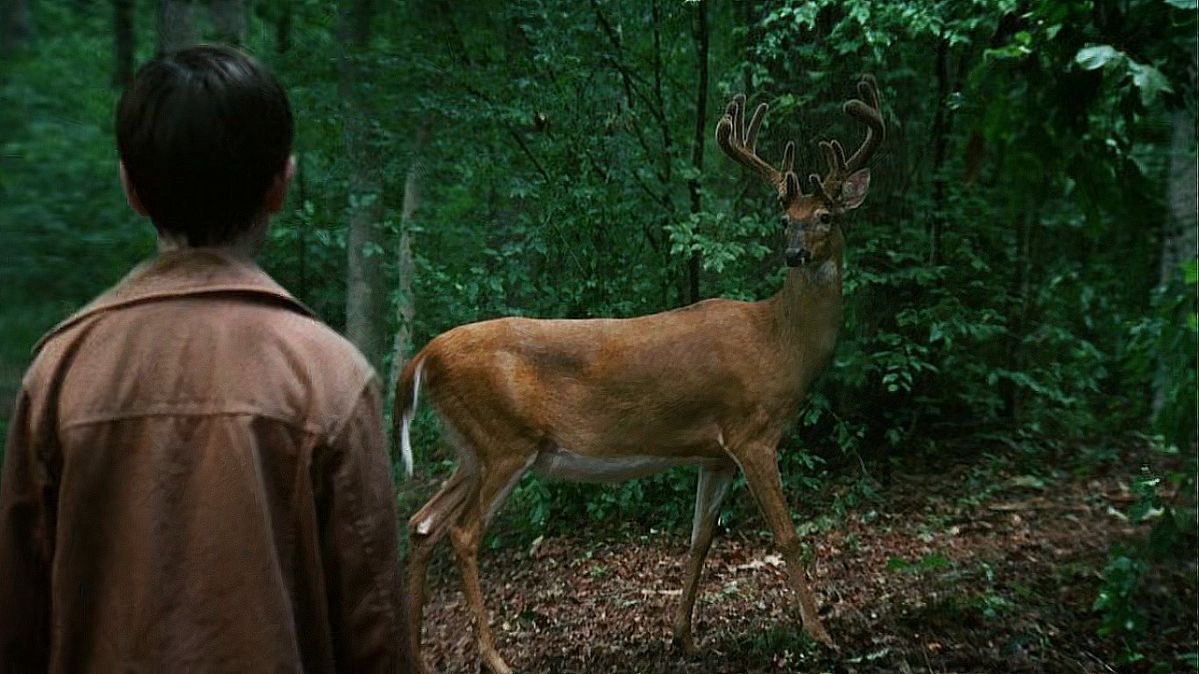 rositascrossbow's tweet image. the walking dead, 2011