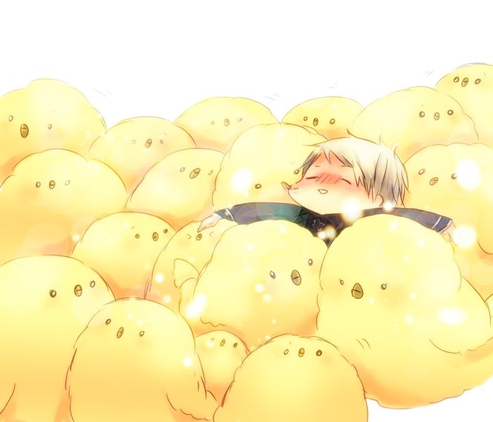 killprussia's tweet image. 