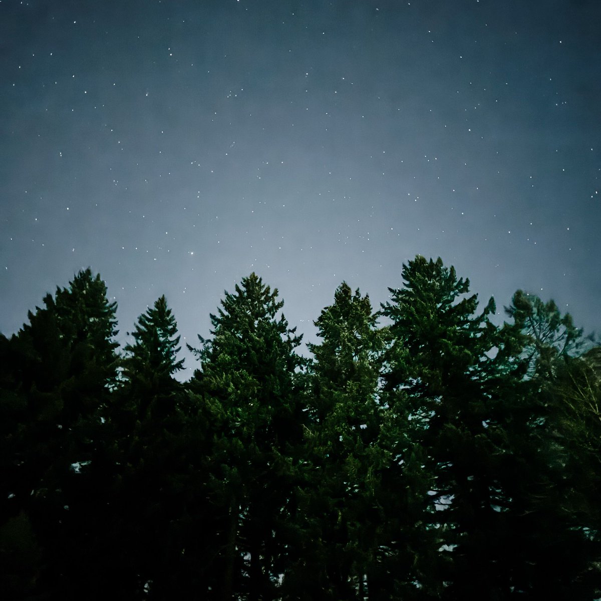 A nice way to end Monday.
A beautiful night sky, full of stars.