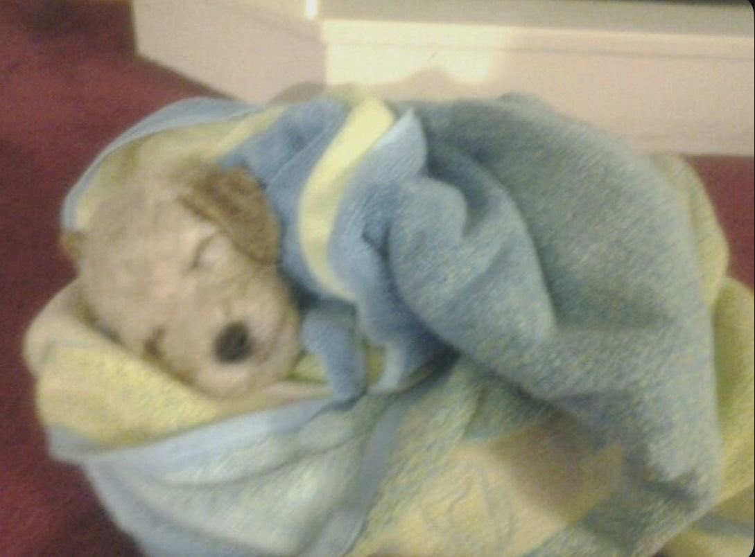 In,, in my blankets,,,