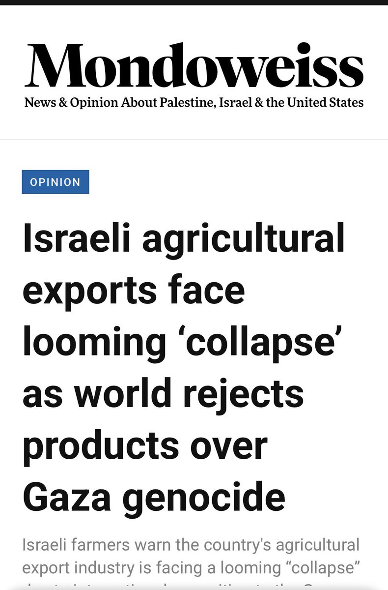 abierkhatib's tweet image. Good news always hits right in the morning