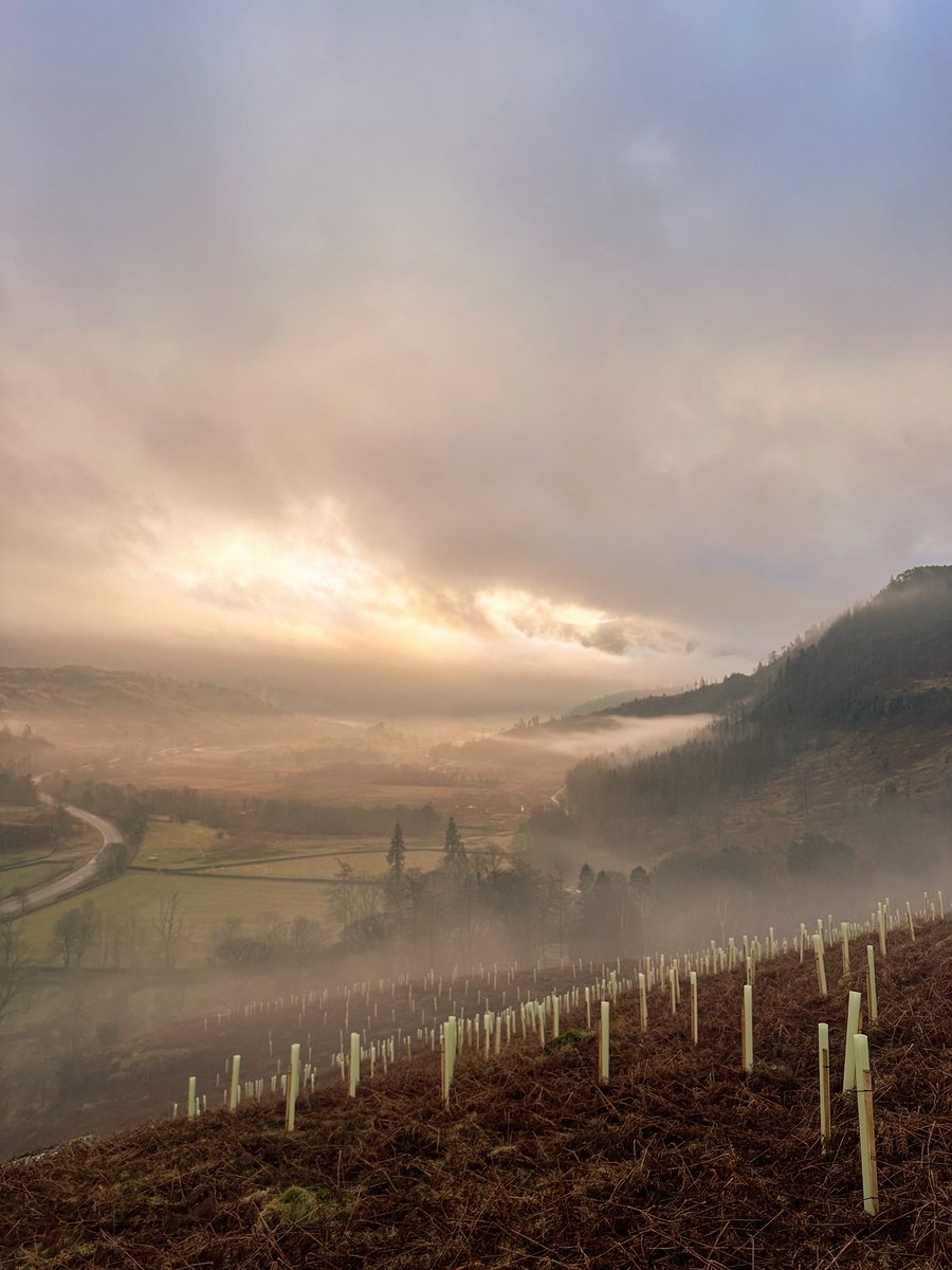 Dan Bell tweet media