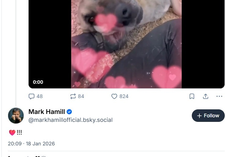 DogDeskAction's tweet photo. A rough couple of days with loud opinions from uneducated people… it does get you down.
Then Mark Hamill (Luke Skywalker) sent us some love. 🥹🌟 Small kindness. Big impact. 💛
#KindnessMatters #RescueWork #DogRescue #StarWars #KeepGoing https://t.co/h5cJbBFHwr