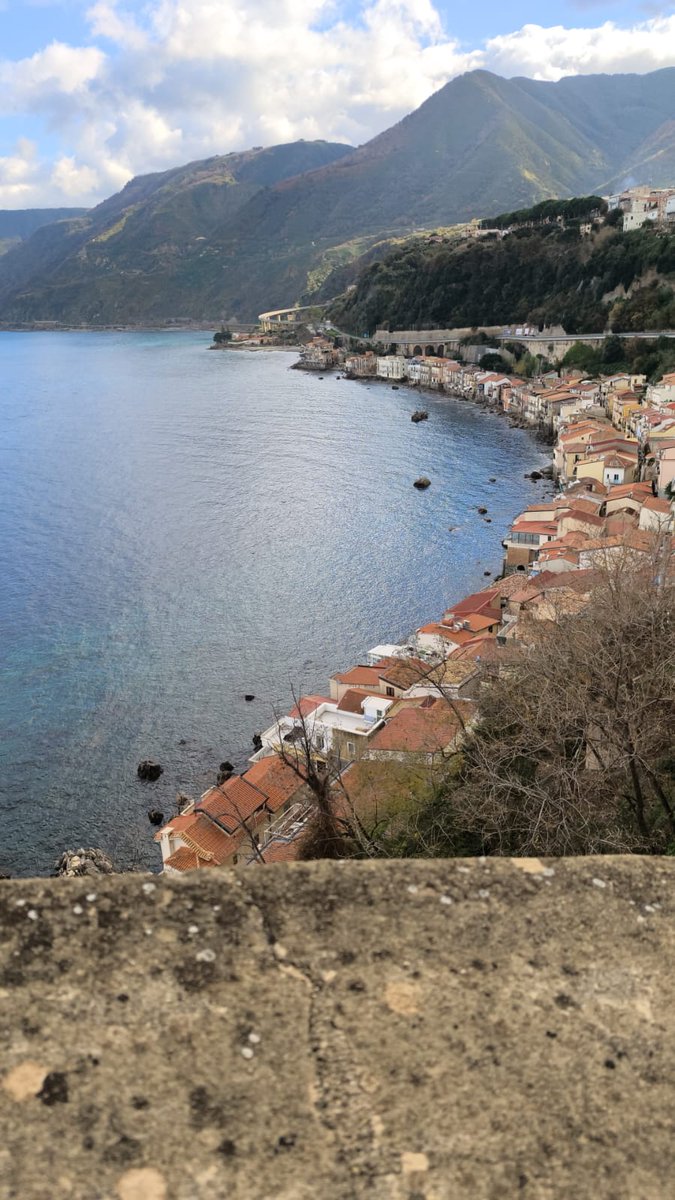 CappatoSimo's tweet image. Buongiorno a tutti, una felice e splendida giornata di martedì   .😊☕️🥐🥨🦋🌸🏵🐩