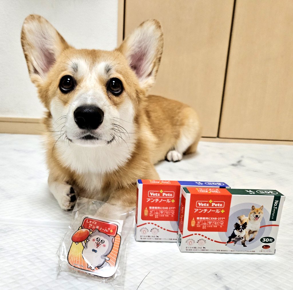 アンチノール｜ベッツペッツ公式 (@vetzpetzjapan) / Posts / X
