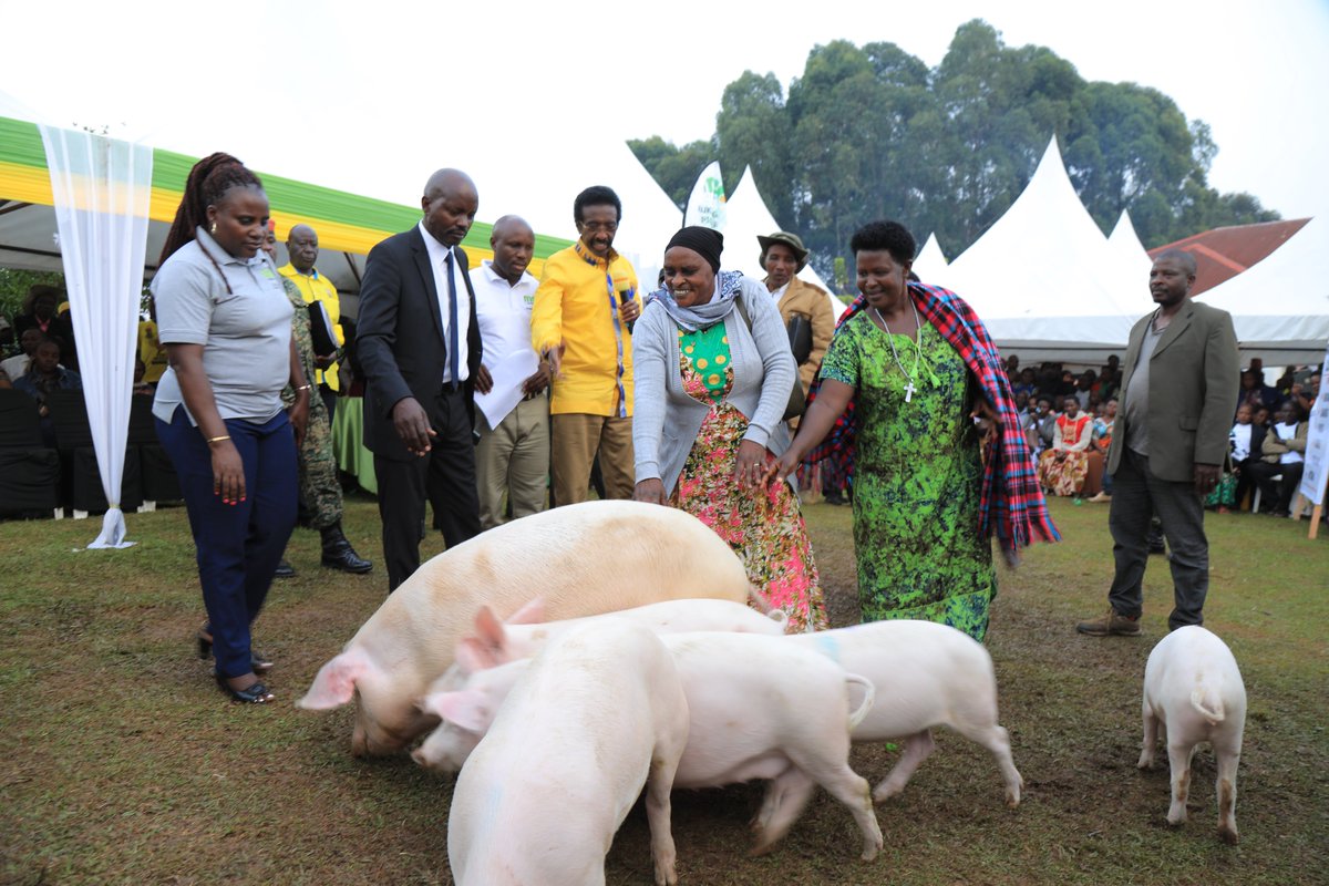 The Microfinance Support Centre Ltd tweet media