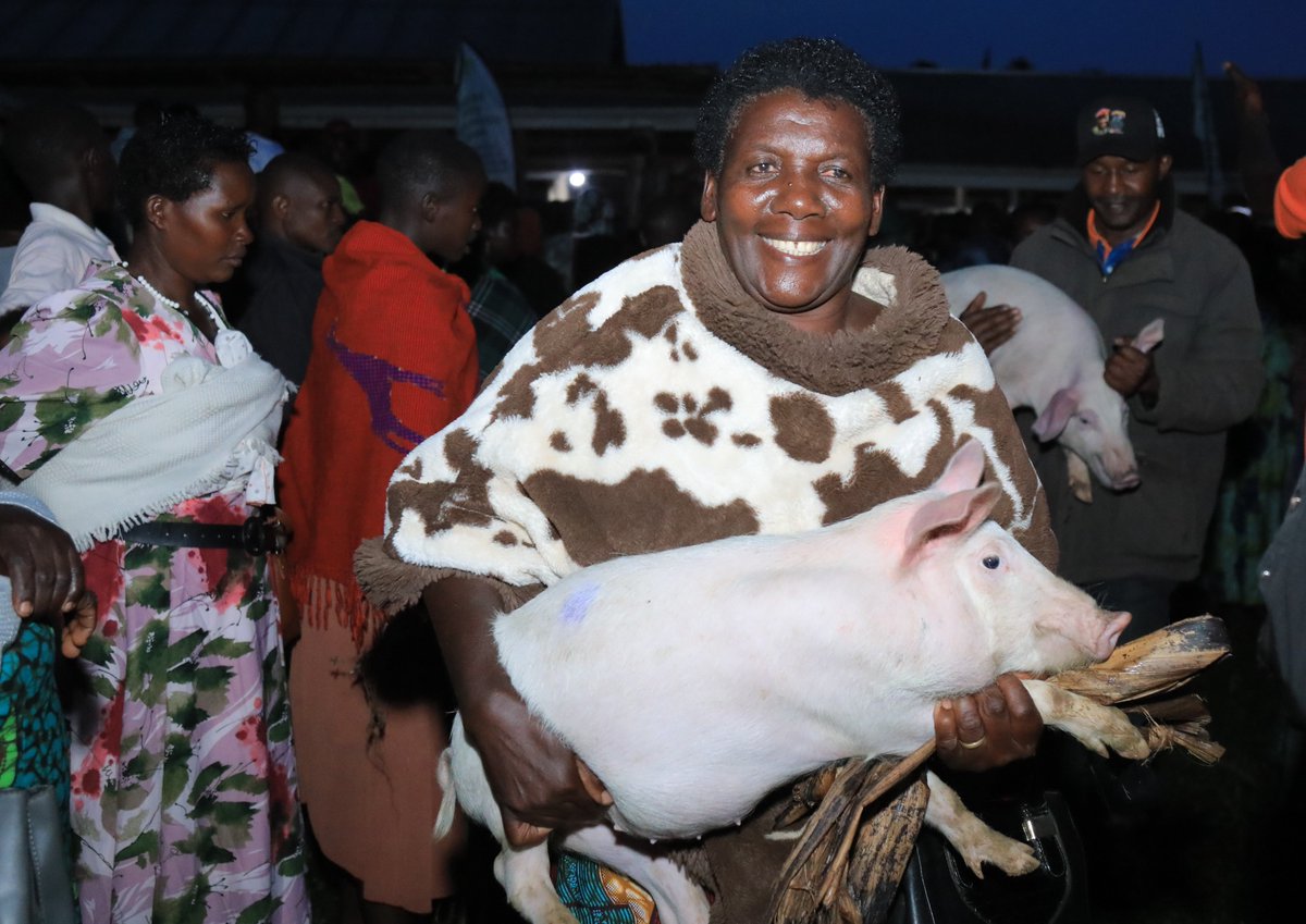 The Microfinance Support Centre Ltd tweet media