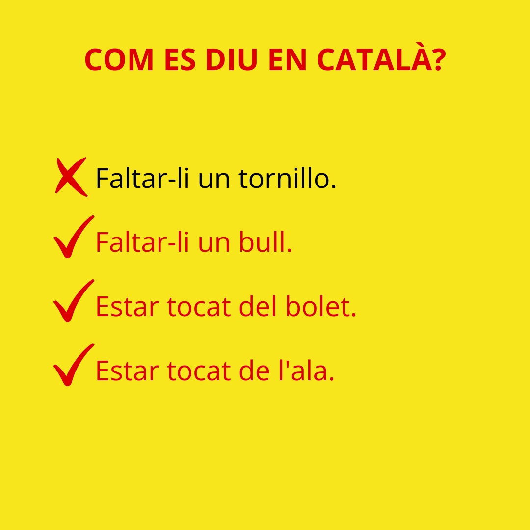 parlaelcat tweet media