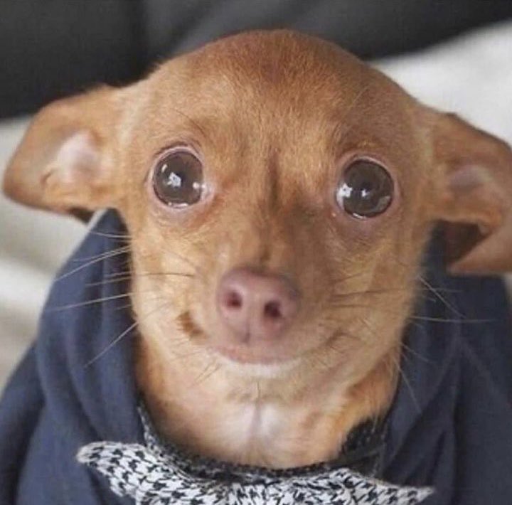 울지 마쎄요
살아가쎄여