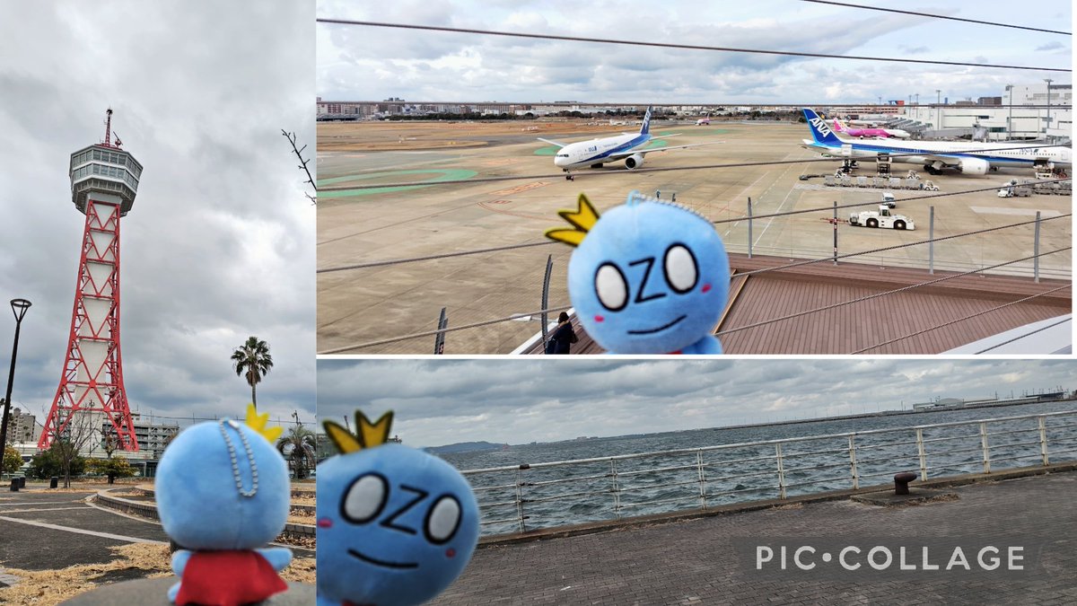 まめぱんだ まめぱんだ (@mpanda_nzmst) / Posts / X