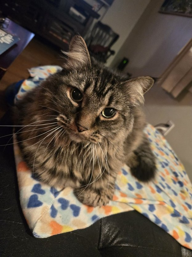 Zack Davisson - Previously Notable tweet media