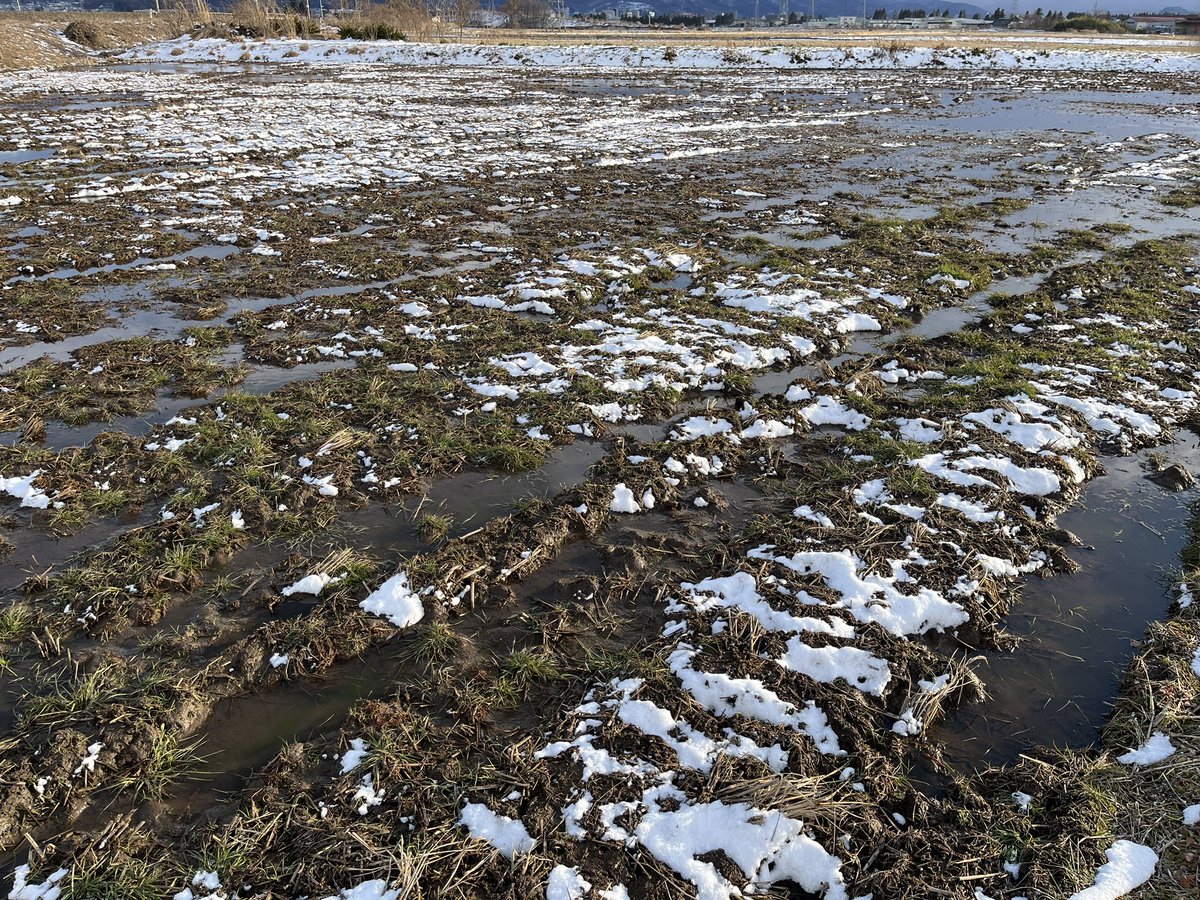 agagawanet's tweet photo. 1月20日、15時まだ雪は降っていません。これから降る予想です https://t.co/kJiI0RexkS