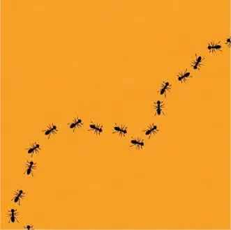 SarDooms's tweet image. join the colony

together we are one

CA:D8H2UBMDMyFrEy6b33jG3ZqB1skBeNEQZXKnQufapump