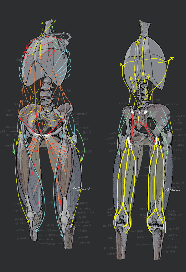 力線イメージ。
こういう理屈が頭にスッと入るようにしたい。