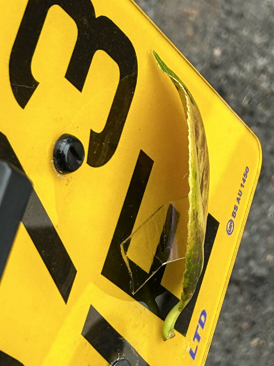 Jon Betts tweet media