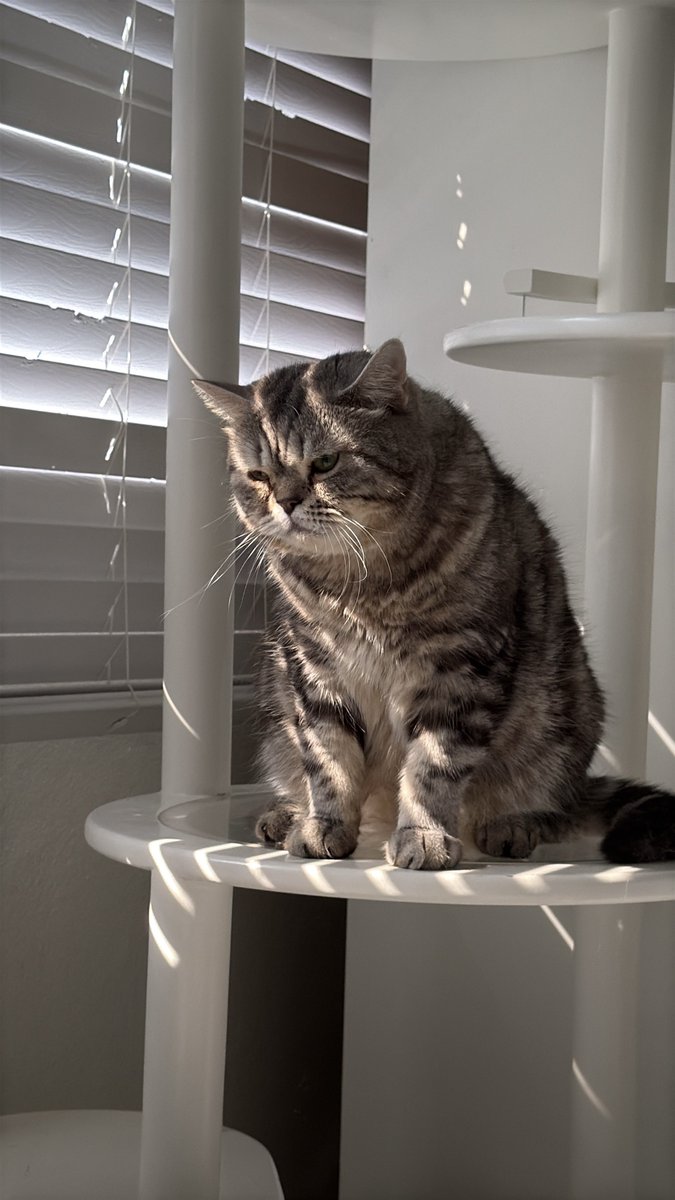 ความไอกี้อะ ตอนมาก็มาช้าก็เขา แล้วนั่งมองตั้งแต่คนเต็มจนนกไปจนแมวไปหมดแล้ว กี้ก็ยังนั่งมองอยู่..... ใช้ชีวิตได้แก่มาก!