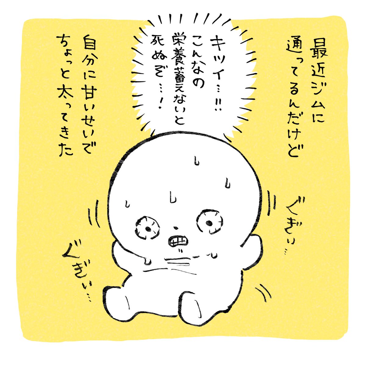 実はちょっと前からジムに通ってます!が!! 