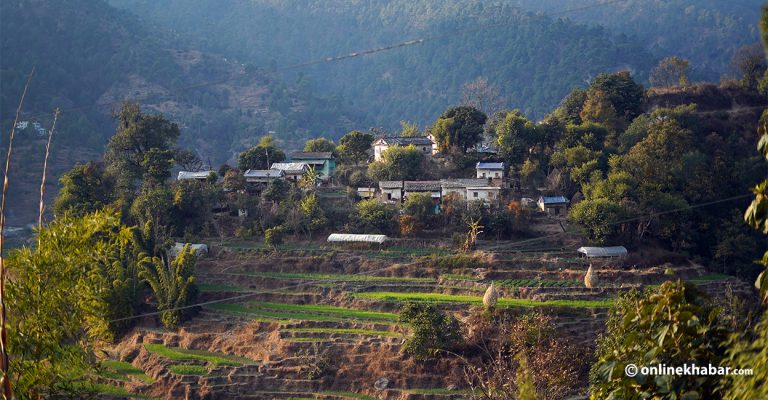 Krishna Gyawali tweet media