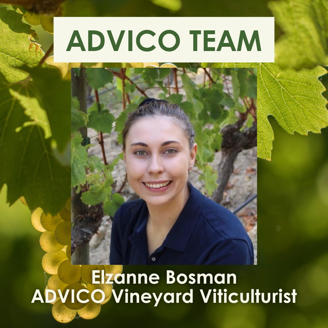 Vinpro_za's tweet photo. Meet the Team | Elzanne Bosman 🍇
With five years of winemaking experience at Groot Constantia and a postgrad in Viticulture and Oenology. Elzanne contributes to the development of new demonstrations, data collect and reporting on research findings.
#ADVICO #viticulture https://t.co/VJiVme6Z2d