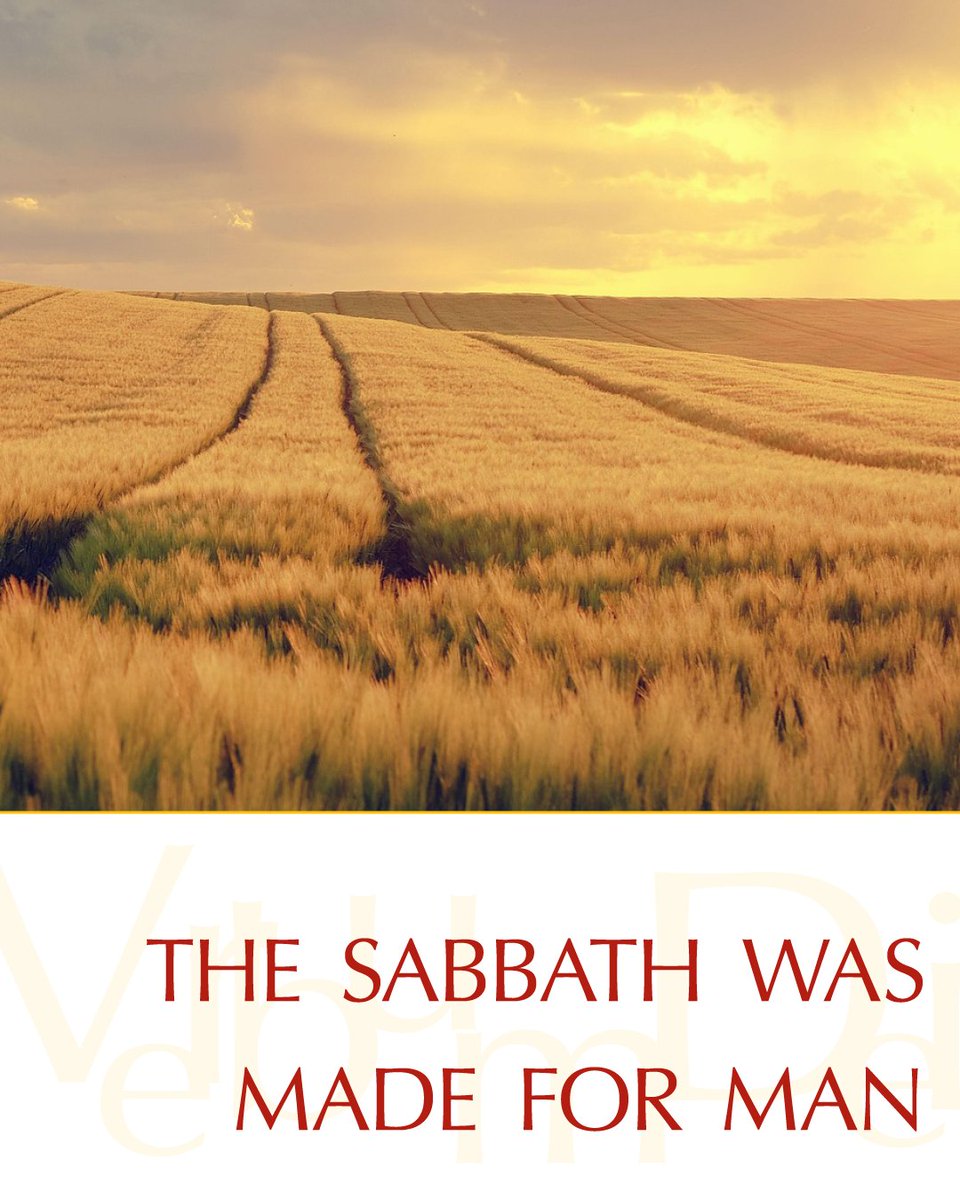 VaticanNews's tweet image. Gospel of the Day (Mark 2,23-28)

Then he said to them, "The sabbath was made for man, not man for the sabbath. That is why the Son of Man is lord even of the sabbath."

vaticannews.va/en/word-of-the…