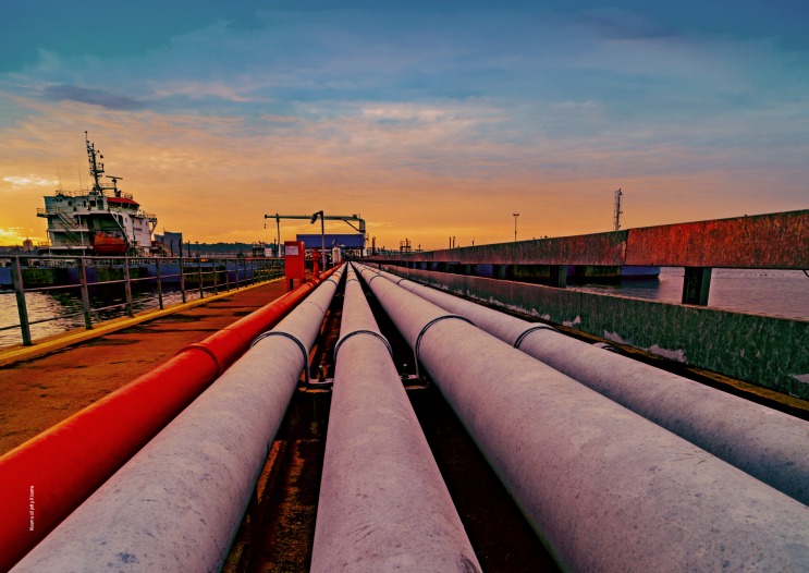 Some pillars are best strengthened by shared ownership, ensuring continuity, growth, and national confidence for generations. <a href="/kenyapipeline/">Kenya Pipeline Company PLC</a>