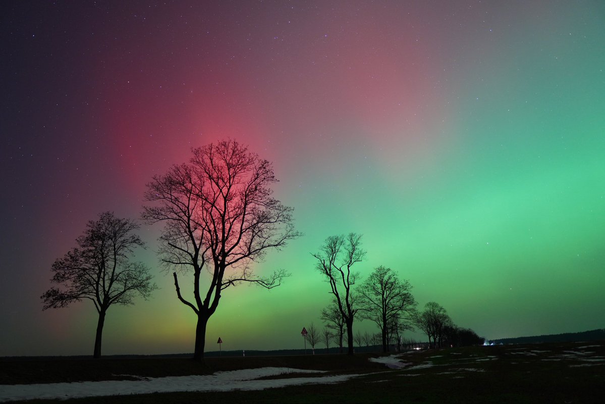 19.1. 2026  Time 23:17 Uhr extreme Polarlichter über Brandenburg bei Pessin - nach okt 2024 die besten Polarlichter die ich je gesehen habe #polarlichter #Auroraborealis  #brandenburg