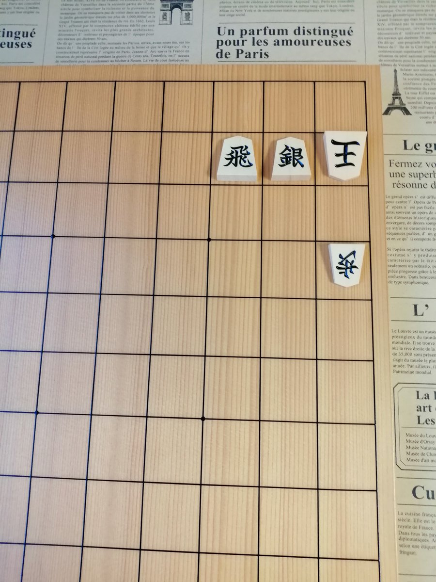 すぐわかった！！ 素人でも3手なら楽しく解ける、これから毎日トライ