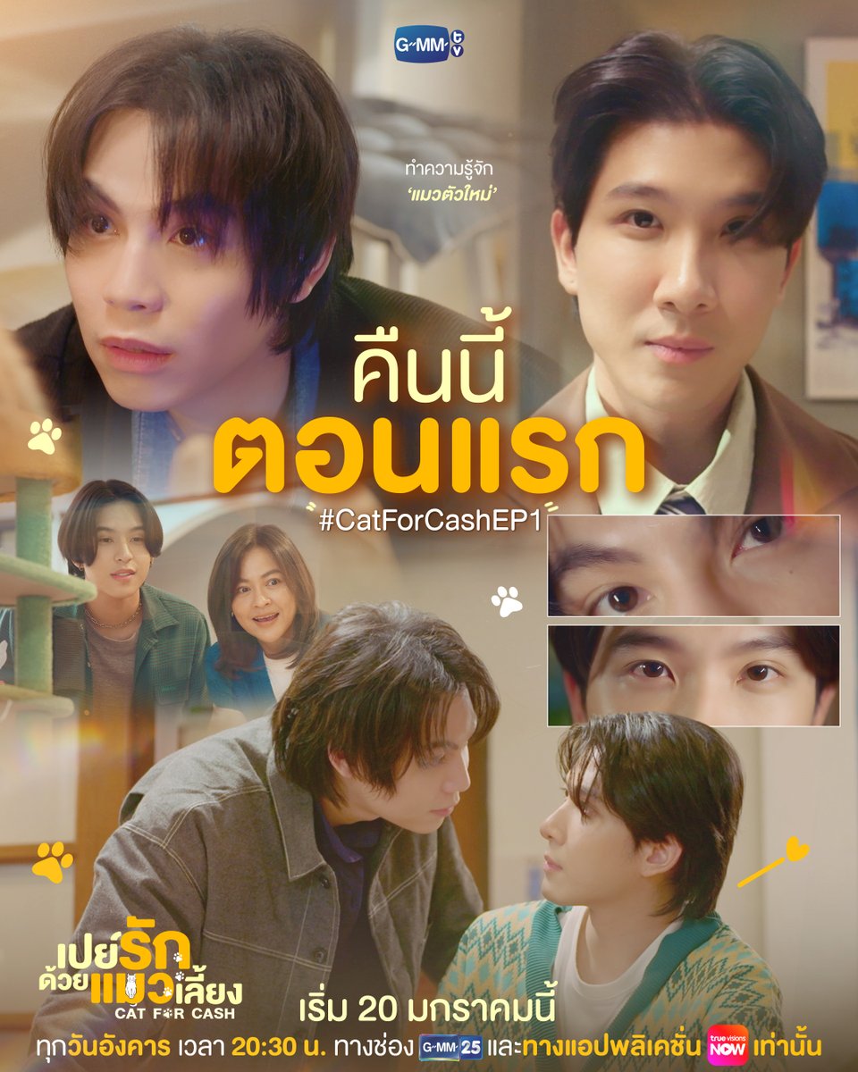 GMMTV's tweet image. มาเริ่ม ‘ทำความรู้จัก’ แมวตัวใหม่ไปด้วยกันใน #CatForCash คืนนี้ตอนแรก! ห้ามพลาดเลยน้าา~ 😽

🎥 Official Trailer  : youtu.be/H6l2SWc3SLI

“เปย์รักด้วยแมวเลี้ยง”🐈🐾
ทุกวันอังคาร เวลา 20:30 น. ทางช่อง GMM25
และรับชมพร้อมกันทาง TrueVisions NOW เท่านั้น
เริ่มตอนแรก 20 มกราคมนี้…
