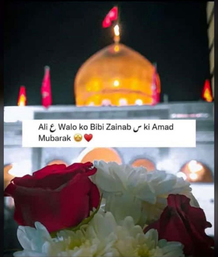 shiawrites86's tweet photo. Congratulations To All Believers On The Birth Anniversary Of Lady Zainab e Kubra (a) the beloved daughter of imam Ali (a)🥀💐 https://t.co/FoIuA3rlCA