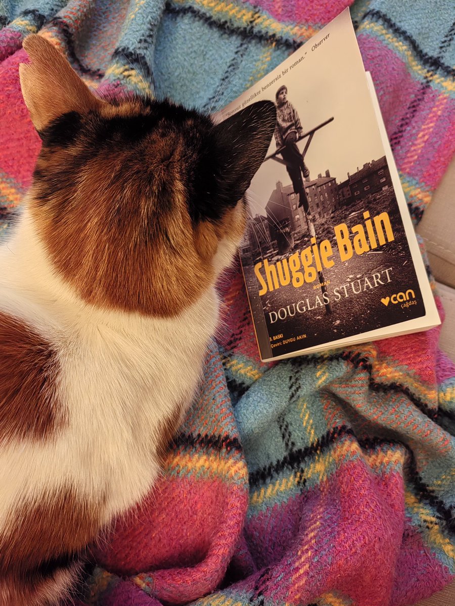 Sessiz başladı. Saşırtıcı ve sarsıcı bir şekilde devam ediyor!! 
#ShuggieBain