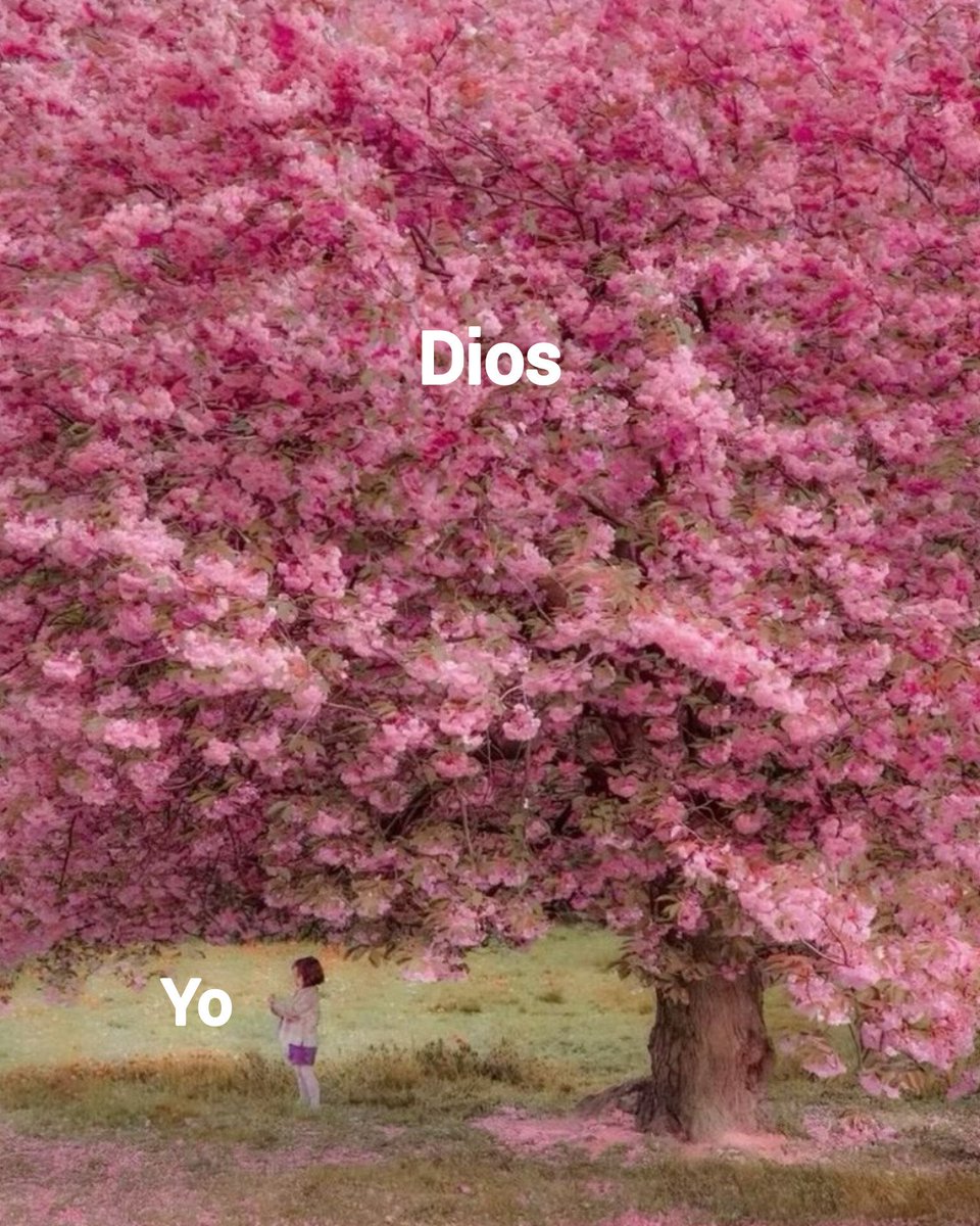 DiosUneSusHijos's tweet image. 