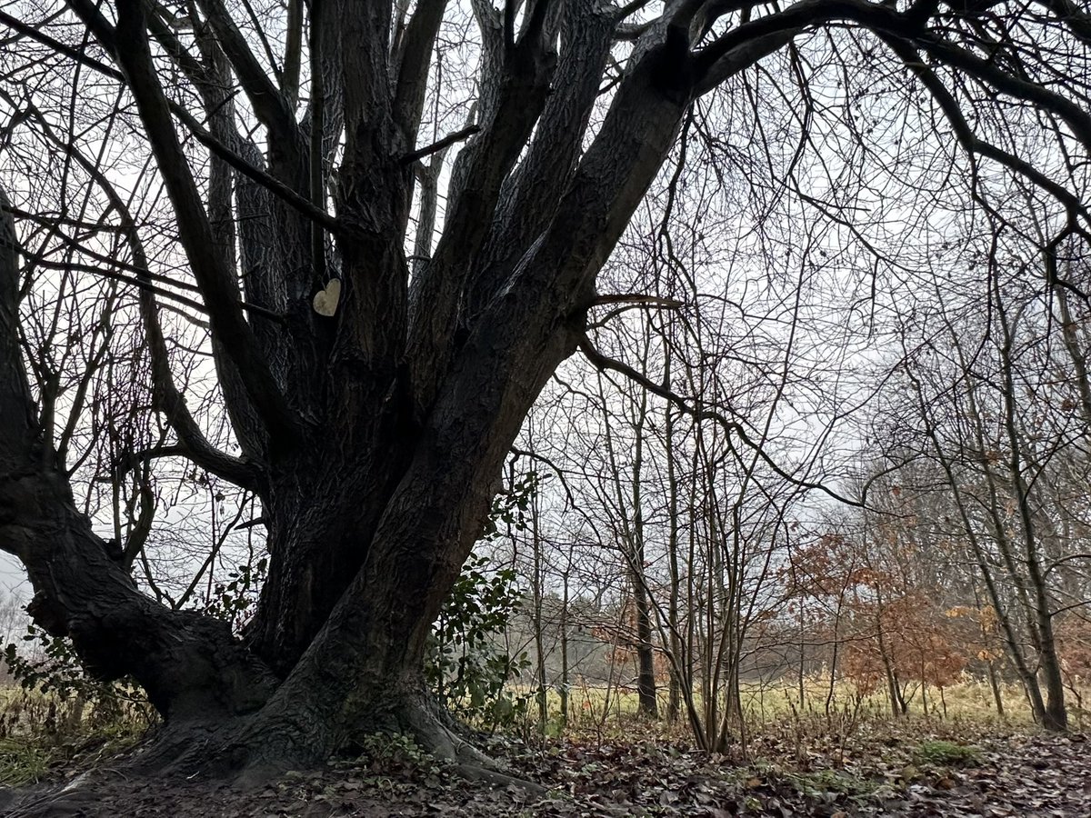 Jay Up North tweet media