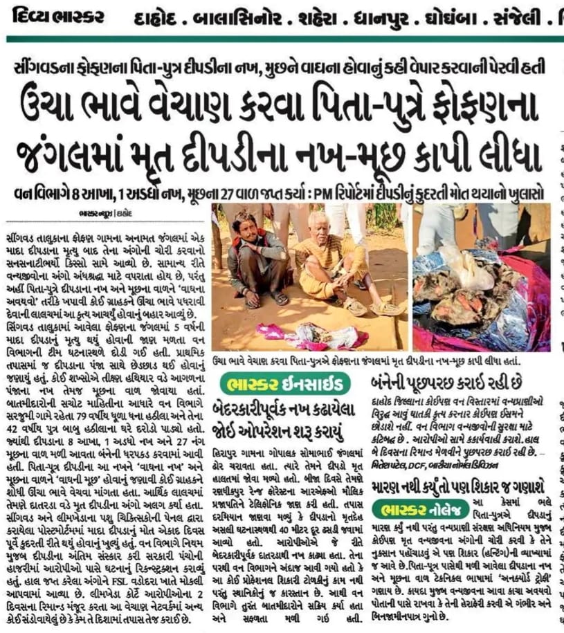 DCFBaria tweet media