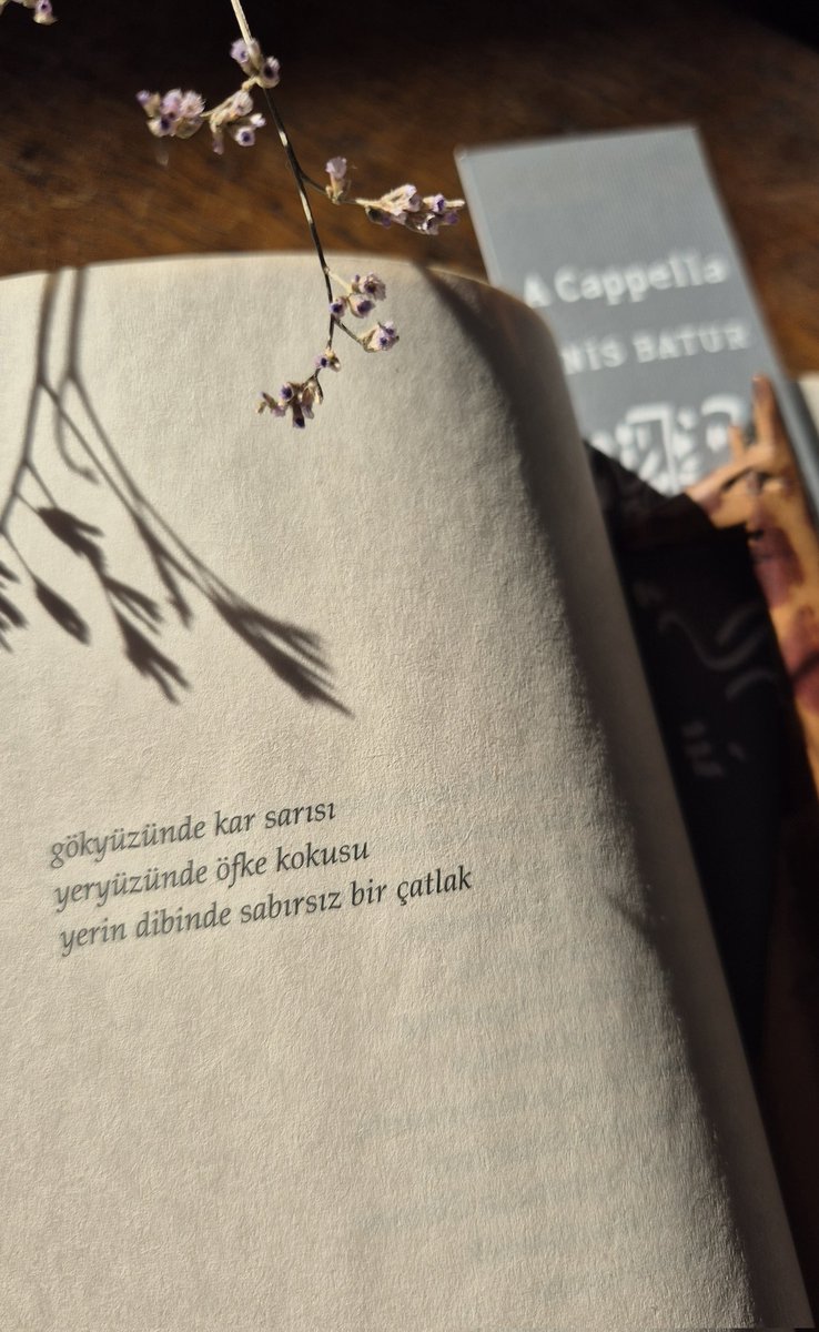 '
gökyüzünde kar sarısı ..

#EnisBatur

📷 S.T.