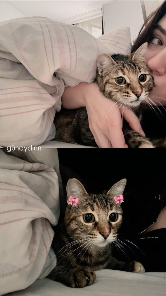 جيمري وقطتها… صباح دافئ بنكهة الحب 🥰🐱

#CemreArda