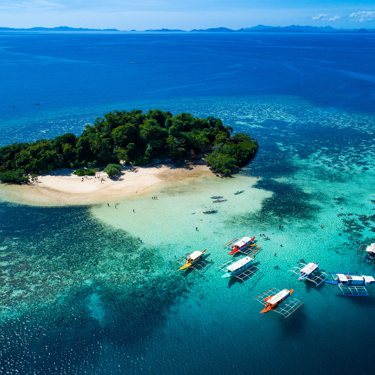 Trip's tweet image. ✈️ WHERE TO GO IN FEBRUARY ✈️

Grand festivals &amp;amp; carnivals:
Rio de Janeiro, Brazil
Venice, Italy
New Orleans, USA

Sunny islands &amp;amp; warm escapes:
Palawan, Philippines
Phu Quoc, Vietnam
Canary Islands, Spain

Unique winter experiences:
Hokkaido, Japan
Tromsø, Norway

Ancient…