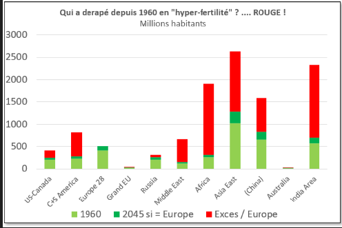 ENRICO BALDUCCI tweet media