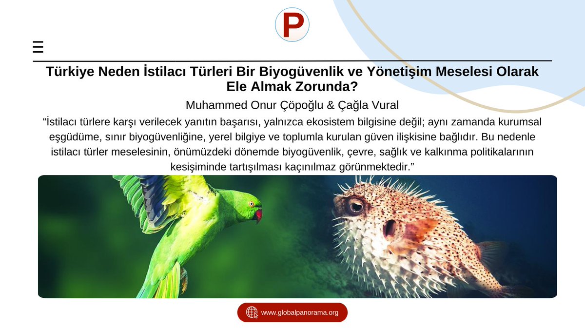 Panorama tweet media