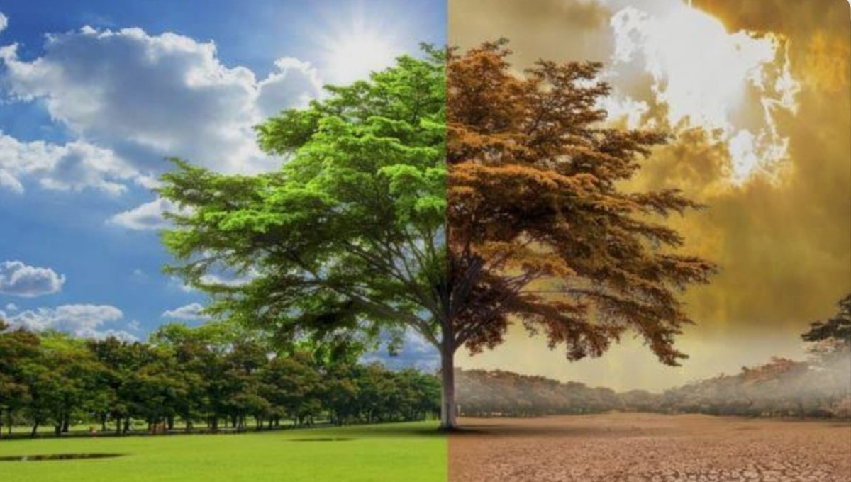 बृजेश गुर्जर tweet media