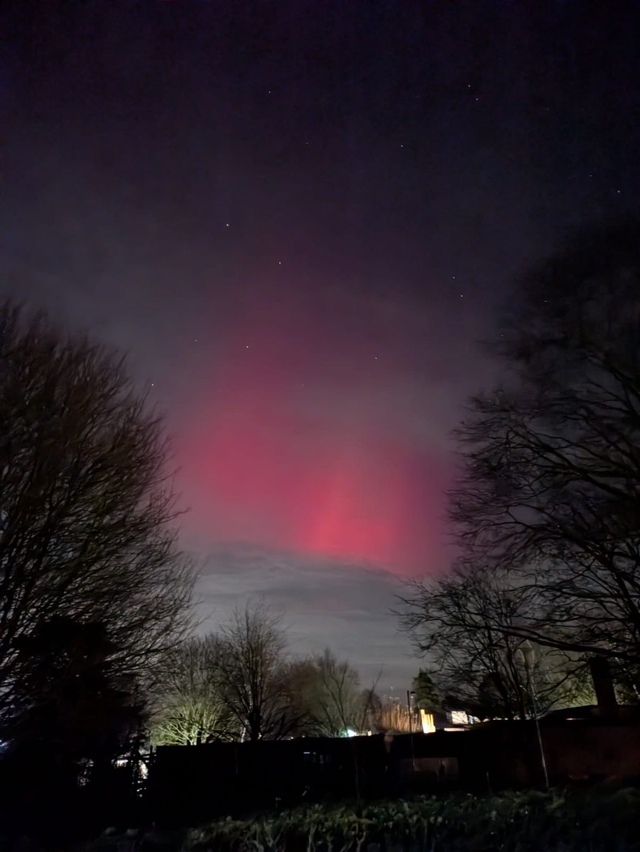 Christleton Primary tweet media