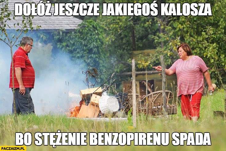 wx0000.eth tweet media