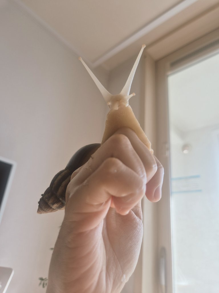 너가 행복하면 됐어