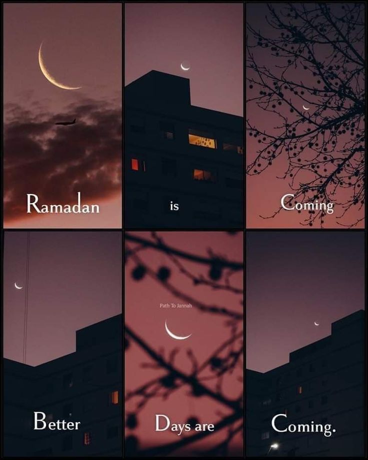 MiGRaa4's tweet photo. *گزرتا وقت ہمیں رمضان المبارک کے قریب لے کر جارہا ہے*❣️✨ https://t.co/RHQFeyPAfL